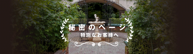 秘密のページ